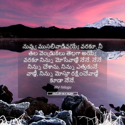 Picture 05 - యెషయా 46:4 TELIRV - నువ్వు - Bible Verse Picture