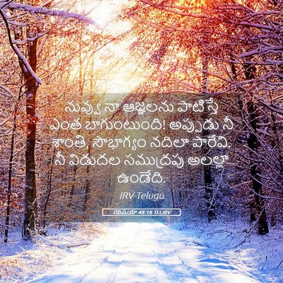 Picture 05 - యెషయా 48:18 TELIRV - నువ్వు నా ఆజ్ఞలను - Bible Verse Picture