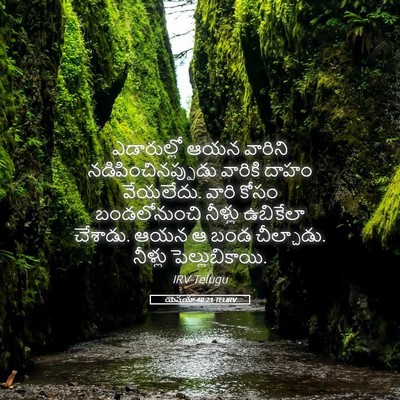 Picture 05 - యెషయా 48:21 TELIRV - ఎడారుల్లో ఆయన - Bible Verse Picture