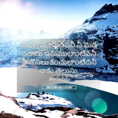 Picture 05 - యెషయా 48:4 TELIRV - నువ్వు మూర్ఖుడవనీ - Bible Verse Picture