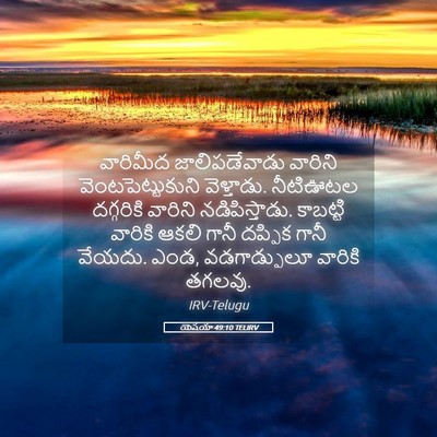 Picture 05 - యెషయా 49:10 TELIRV - వారిమీద - Bible Verse Picture