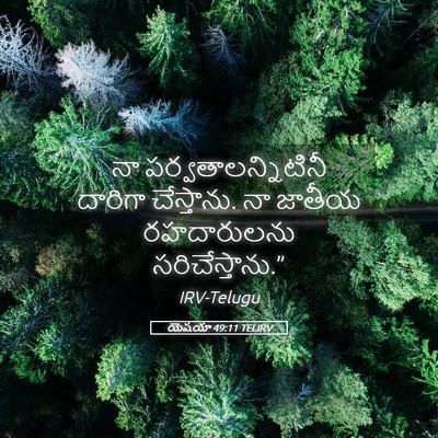 Picture 05 - యెషయా 49:11 TELIRV - నా - Bible Verse Picture