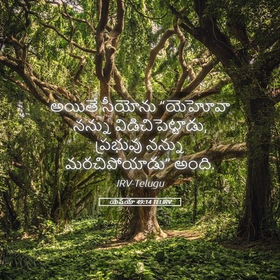 Picture 05 - యెషయా 49:14 TELIRV - అయితే సీయోను - Bible Verse Picture