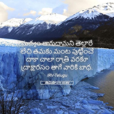 Picture 05 - యెషయా 5:11 TELIRV - మద్యం తాగుదామని - Bible Verse Picture