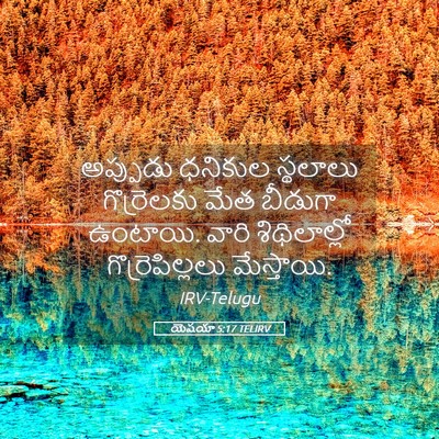 Picture 05 - యెషయా 5:17 TELIRV - అప్పుడు ధనికుల - Bible Verse Picture