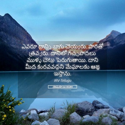 Picture 05 - యెషయా 5:6 TELIRV - ఎవరూ దాన్ని బాగు - Bible Verse Picture