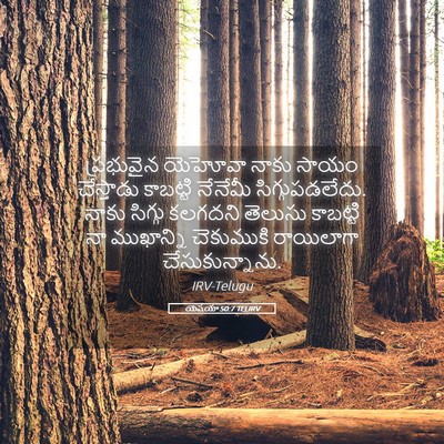 Picture 05 - యెషయా 50:7 TELIRV - ప్రభువైన యెహోవా - Bible Verse Picture