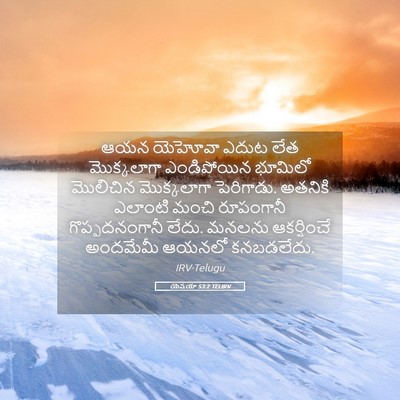 Picture 05 - యెషయా 53:2 TELIRV - ఆయన యెహోవా ఎదుట - Bible Verse Picture