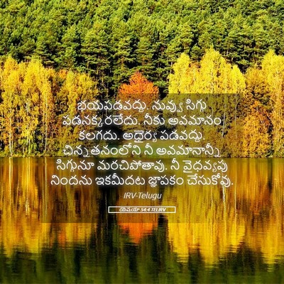 Picture 05 - యెషయా 54:4 TELIRV - భయపడవద్దు. నువ్వు - Bible Verse Picture