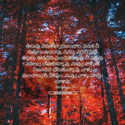 Picture 05 - యెషయా 57:8 TELIRV - తలుపు వెనుక - Bible Verse Picture