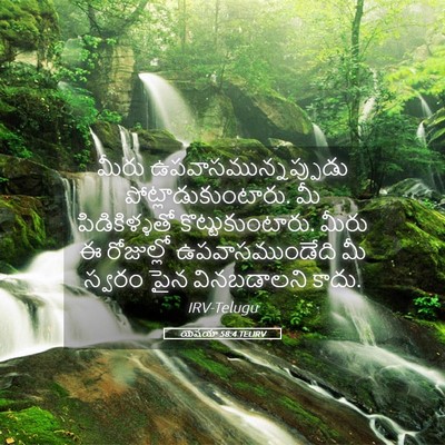 Picture 05 - యెషయా 58:4 TELIRV - మీరు - Bible Verse Picture