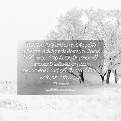 Picture 05 - యెషయా 59:10 TELIRV - గోడకోసం - Bible Verse Picture