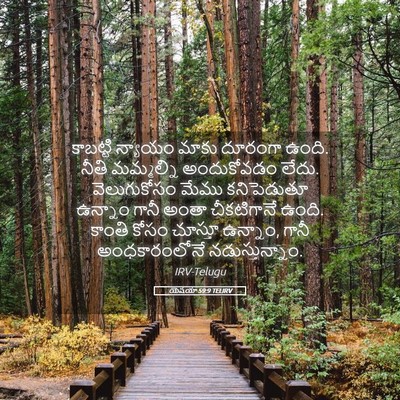 Picture 05 - యెషయా 59:9 TELIRV - కాబట్టి న్యాయం - Bible Verse Picture