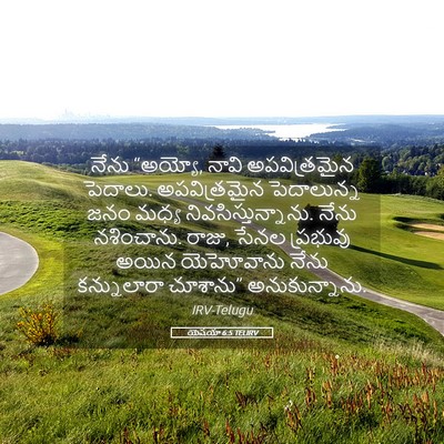 Picture 05 - యెషయా 6:5 TELIRV - నేను “అయ్యో, నావి - Bible Verse Picture