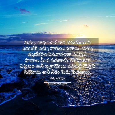 Picture 05 - యెషయా 60:14 TELIRV - నిన్ను - Bible Verse Picture