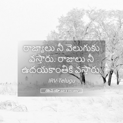Picture 05 - యెషయా 60:3 TELIRV - రాజ్యాలు నీ - Bible Verse Picture