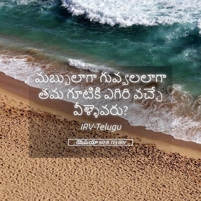 Picture 05 - యెషయా 60:8 TELIRV - మబ్బులాగా - Bible Verse Picture
