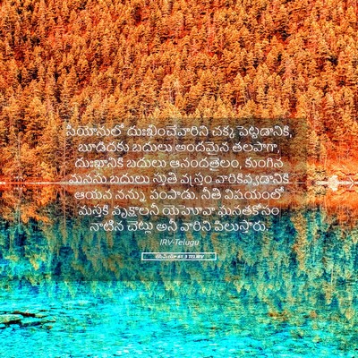 Picture 05 - యెషయా 61:3 TELIRV - సీయోనులో - Bible Verse Picture
