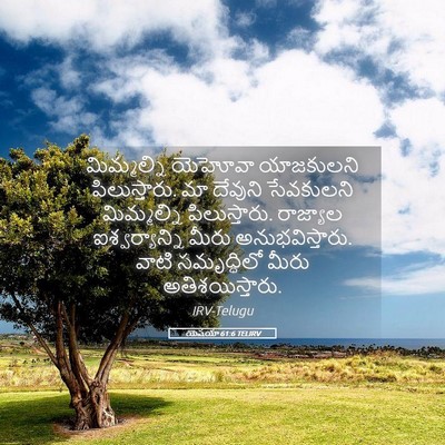 Picture 05 - యెషయా 61:6 TELIRV - మిమ్మల్ని యెహోవా - Bible Verse Picture