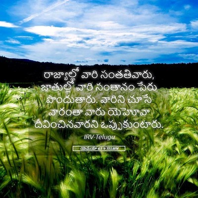 Picture 05 - యెషయా 61:9 TELIRV - రాజ్యాల్లో వారి - Bible Verse Picture