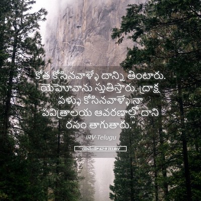 Picture 05 - యెషయా 62:9 TELIRV - కోత కోసినవాళ్ళే - Bible Verse Picture