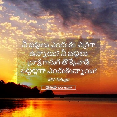 Picture 05 - యెషయా 63:2 TELIRV - నీ బట్టలు ఎందుకు - Bible Verse Picture