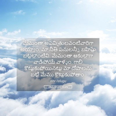 Picture 05 - యెషయా 64:6 TELIRV - మేమంతా - Bible Verse Picture