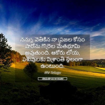 Picture 05 - యెషయా 65:10 TELIRV - నన్ను వెతికిన నా - Bible Verse Picture