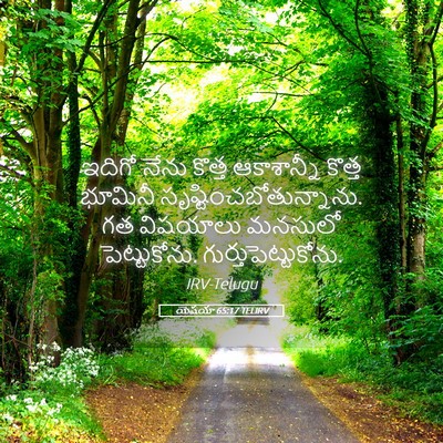 Picture 05 - యెషయా 65:17 TELIRV - ఇదిగో నేను కొత్త - Bible Verse Picture