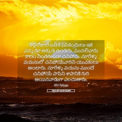 Picture 05 - యెషయా 65:20 TELIRV - కొద్దిరోజులే - Bible Verse Picture