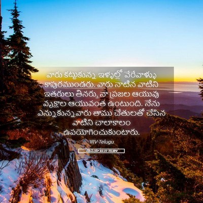 Picture 05 - యెషయా 65:22 TELIRV - వారు కట్టుకున్న - Bible Verse Picture