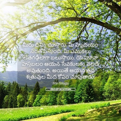 Picture 05 - యెషయా 66:14 TELIRV - మీరు దీన్ని - Bible Verse Picture