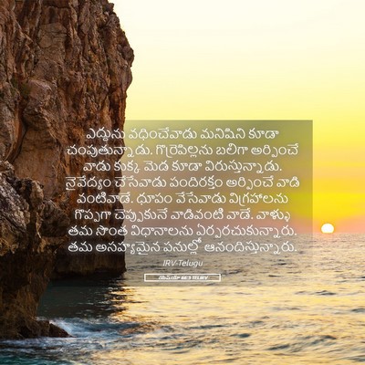 Picture 05 - యెషయా 66:3 TELIRV - ఎద్దును - Bible Verse Picture