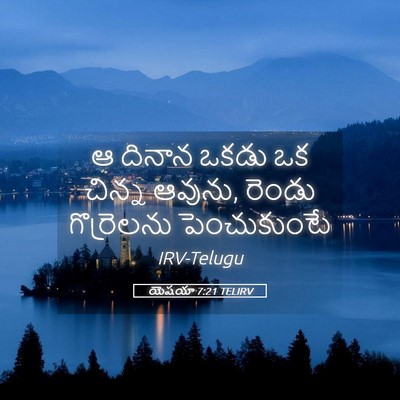 Picture 05 - యెషయా 7:21 TELIRV - ఆ దినాన ఒకడు ఒక - Bible Verse Picture