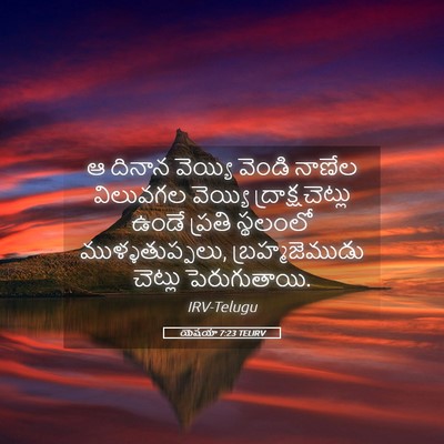 Picture 05 - యెషయా 7:23 TELIRV - ఆ దినాన వెయ్యి - Bible Verse Picture