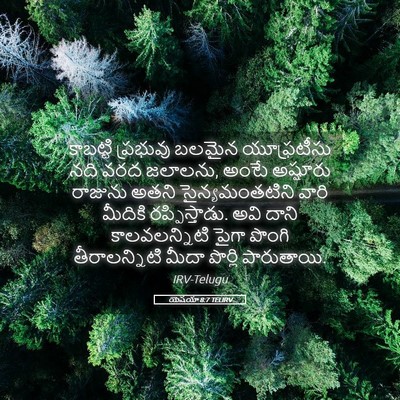 Picture 05 - యెషయా 8:7 TELIRV - కాబట్టి ప్రభువు - Bible Verse Picture
