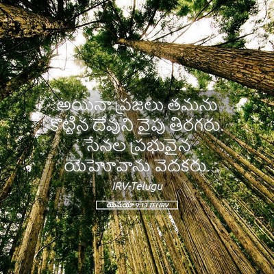 Picture 05 - యెషయా 9:13 TELIRV - అయినా ప్రజలు తమను - Bible Verse Picture