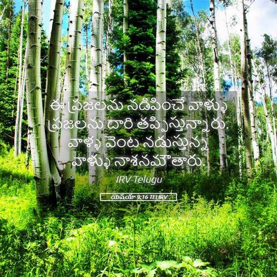 Picture 05 - యెషయా 9:16 TELIRV - ఈ ప్రజలను - Bible Verse Picture
