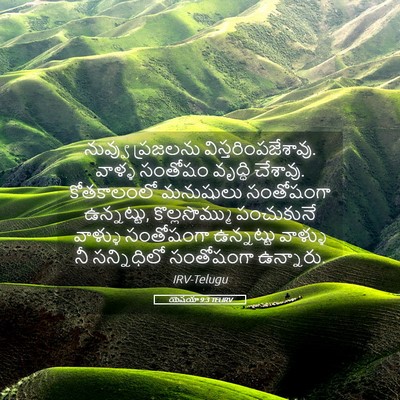 Picture 05 - యెషయా 9:3 TELIRV - నువ్వు ప్రజలను - Bible Verse Picture