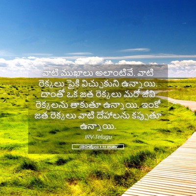 Picture 05 - యెహెజ్కేలు 1:11 TELIRV - వాటి ముఖాలు - Bible Verse Picture