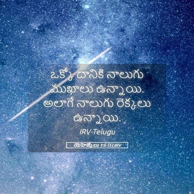 Picture 05 - యెహెజ్కేలు 1:6 TELIRV - ఒక్కో దానికి - Bible Verse Picture