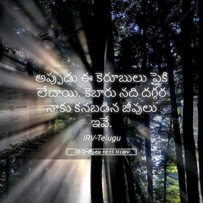 Picture 05 - యెహెజ్కేలు 10:15 TELIRV - అప్పుడు ఈ - Bible Verse Picture