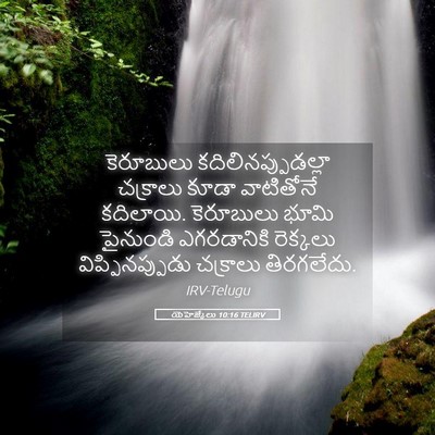 Picture 05 - యెహెజ్కేలు 10:16 TELIRV - కెరూబులు - Bible Verse Picture