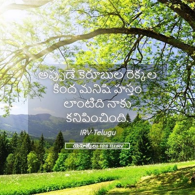 Picture 05 - యెహెజ్కేలు 10:8 TELIRV - అప్పుడే కెరూబుల - Bible Verse Picture