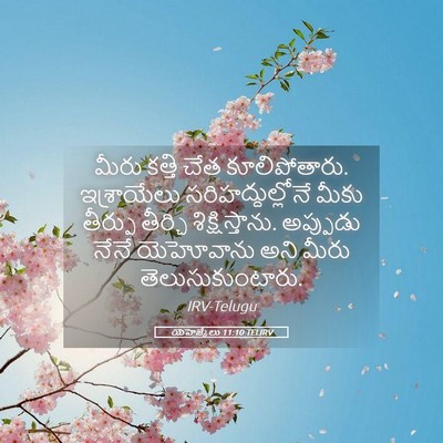 Picture 05 - యెహెజ్కేలు 11:10 TELIRV - మీరు కత్తి చేత - Bible Verse Picture