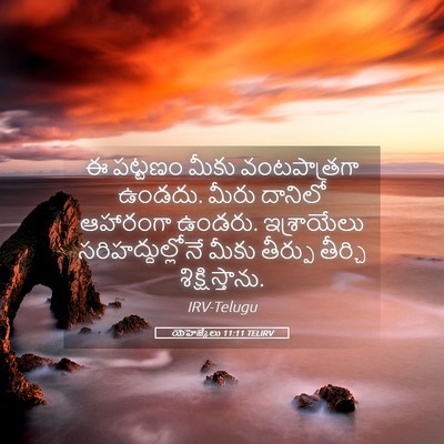Picture 05 - యెహెజ్కేలు 11:11 TELIRV - ఈ పట్టణం మీకు - Bible Verse Picture