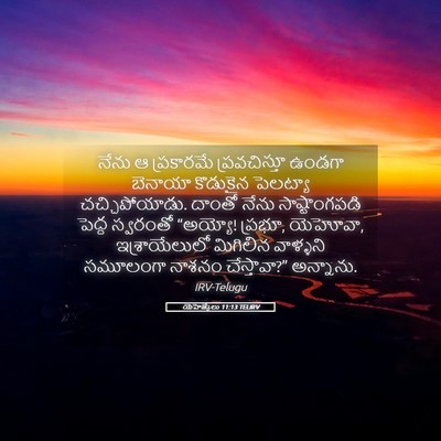 Picture 05 - యెహెజ్కేలు 11:13 TELIRV - నేను ఆ ప్రకారమే - Bible Verse Picture