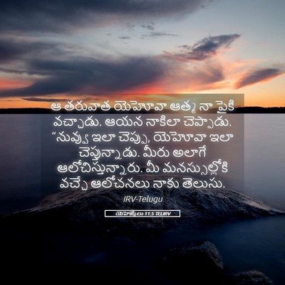 Picture 05 - యెహెజ్కేలు 11:5 TELIRV - ఆ తరువాత యెహోవా - Bible Verse Picture