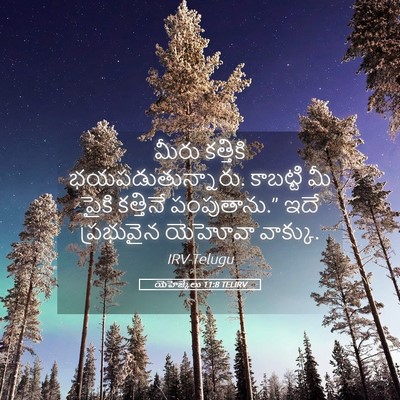 Picture 05 - యెహెజ్కేలు 11:8 TELIRV - మీరు కత్తికి - Bible Verse Picture