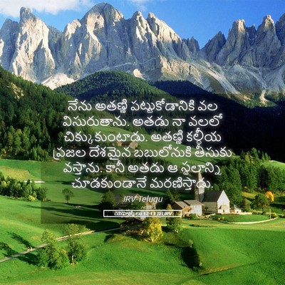 Picture 05 - యెహెజ్కేలు 12:13 TELIRV - నేను అతణ్ణి - Bible Verse Picture